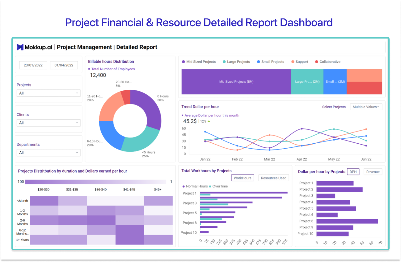 Project Financial & Resource Detailed Report Dashboard