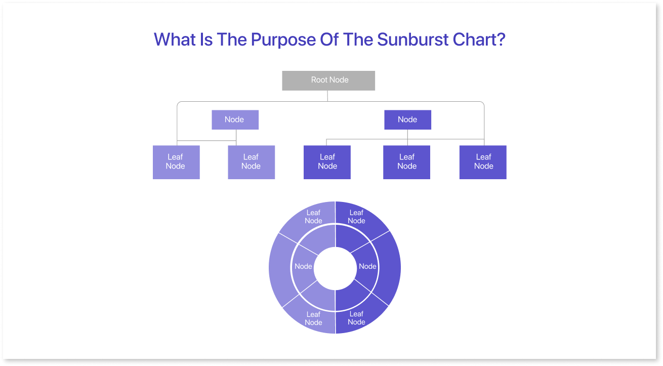 What is the purpose of the sunburst chart?