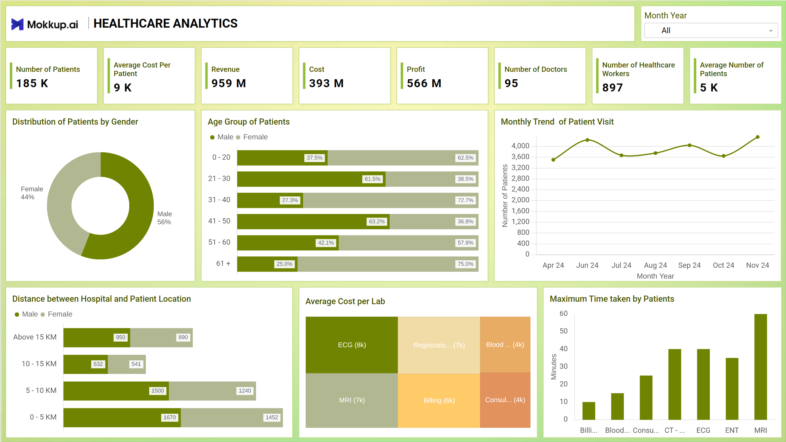 Screenshot of Healthcare Analytics where dashboard is created