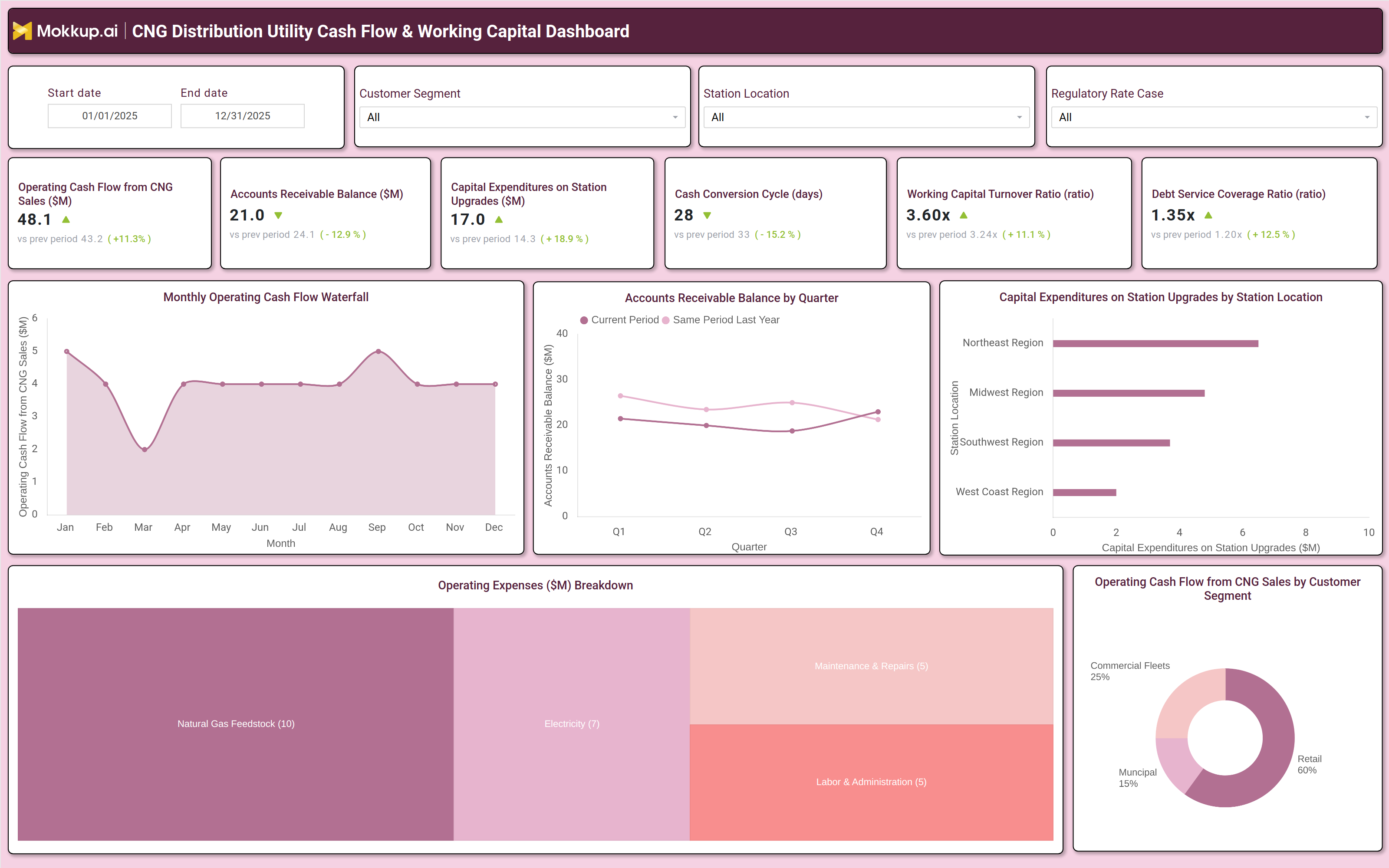 Screenshot of CNG Distribution Utility Cash Flow & Working Capital Dashboard where dashboard is created
