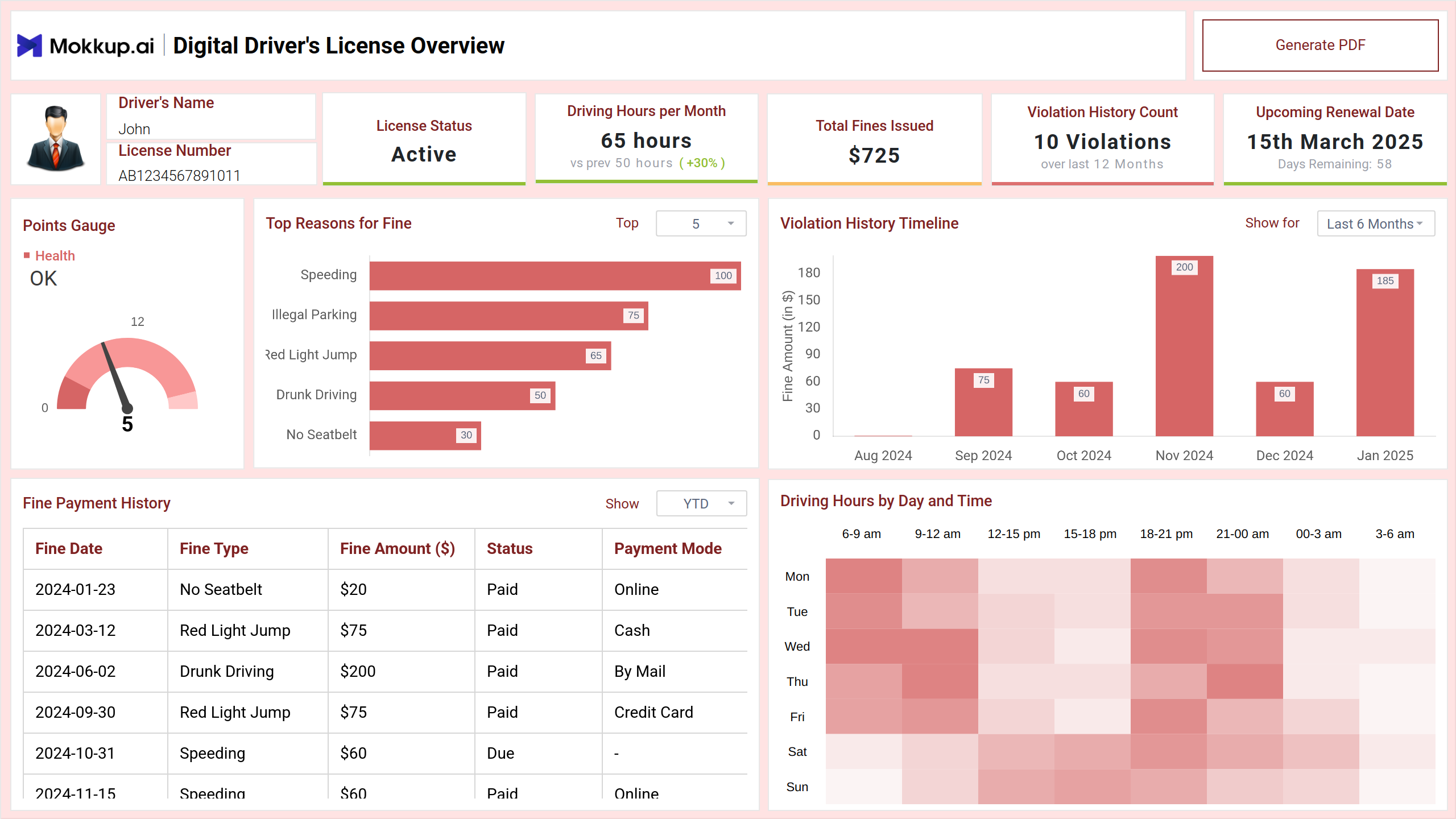 Screenshot of Digital Driver's License Overview where dashboard is created